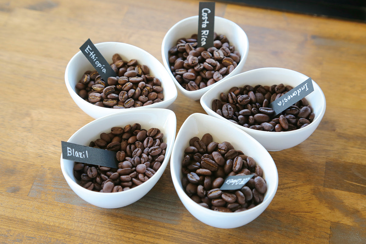 IMG_5469_bdca11b8-0809-46ba-