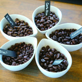 珈琲鑑定士が選ぶ 今月のおすすめ 4種 - 珈琲豆専門店 和珈屋