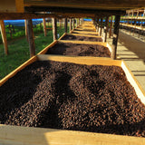 わこや の 金賞受賞 モカブレンド - 珈琲豆専門店 和珈屋