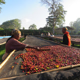 わこや の 金賞受賞 モカブレンド - 珈琲豆専門店 和珈屋