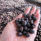 わこや の 金賞受賞 モカブレンド - 珈琲豆専門店 和珈屋