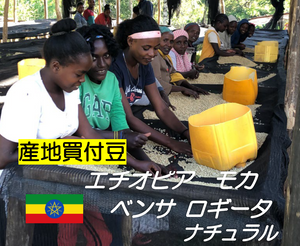 2020.11.14 ★NEW★ Ethiopia Natural coffee beans are renewed 