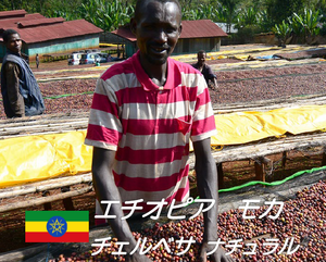 2021.8.22　★NEW★ エチオピア のコーヒー豆が新しくなりました！