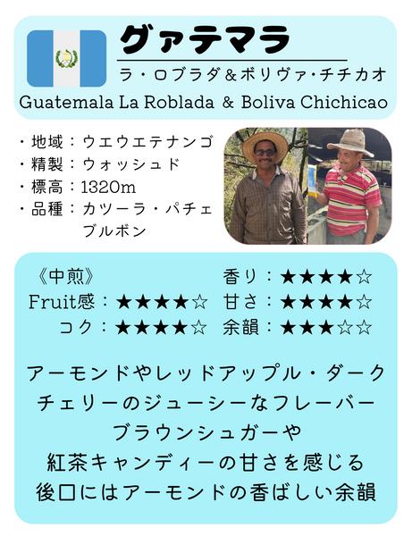 ★ NEW ★ グアテマラ　ラ・ロブラダ&ボリヴァ・チチカオ - 珈琲豆専門店 和珈屋