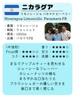 ★NEW★ ニカラグア　リモンシージョ　パカマラ　ピーベリー
