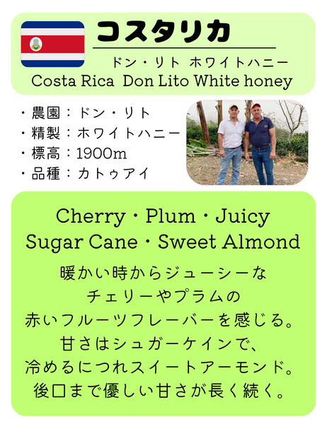 ★NEW★ Costa Rica Don Mayo Yellow Honey 