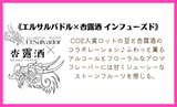 ★NEW★インフューズド　エルサルバドル × 杏露酒 - 珈琲豆専門店 和珈屋