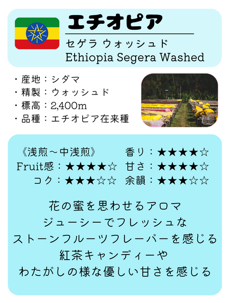 ★NEW★ エチオピア　セゲラ　ウォッシュド - 珈琲豆専門店 和珈屋