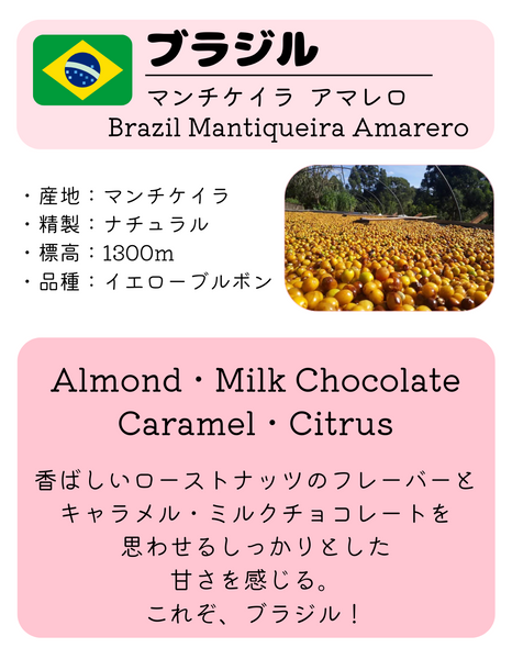 ★NEW★ Brazilian Mantiqueira Amarello